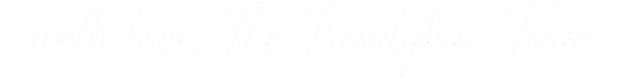 Meet The TrendyHac Team stylish text banner